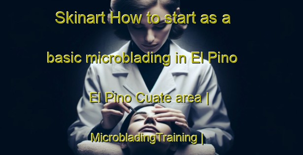 Skinart How to start as a basic microblading in El Pino  El Pino Cuate area | MicrobladingTraining | MicrobladingClasses | SkinartTraining-Mexico
